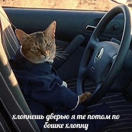 1000001889.jpg