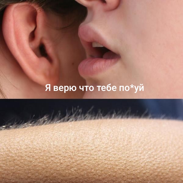1000001903.jpg
