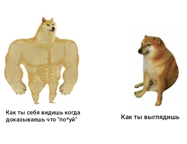 1000001908.jpg