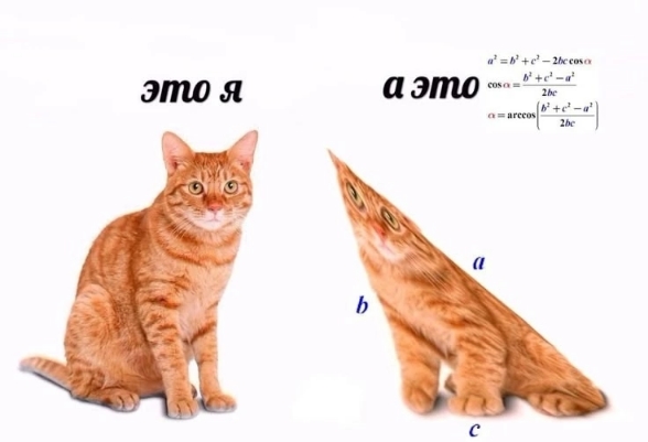 1000001916.jpg
