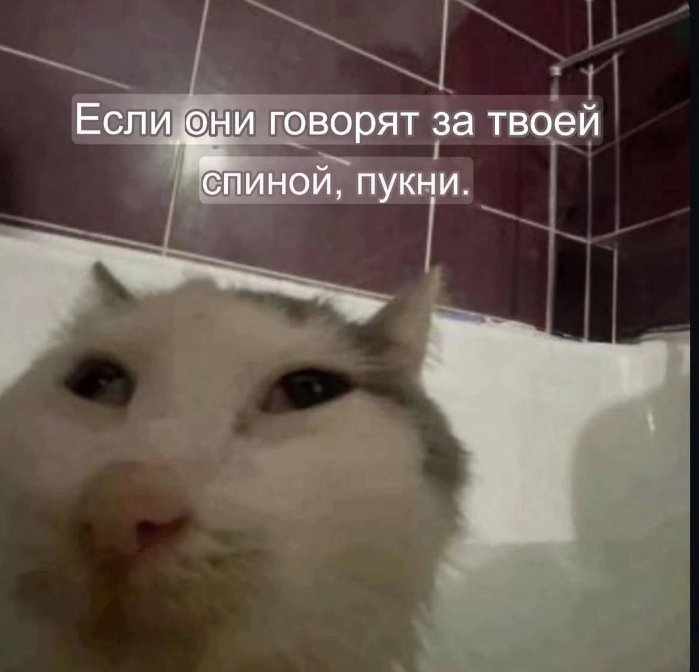 1000001956.jpg