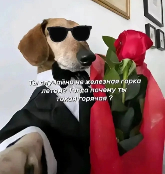 1000002355.jpg