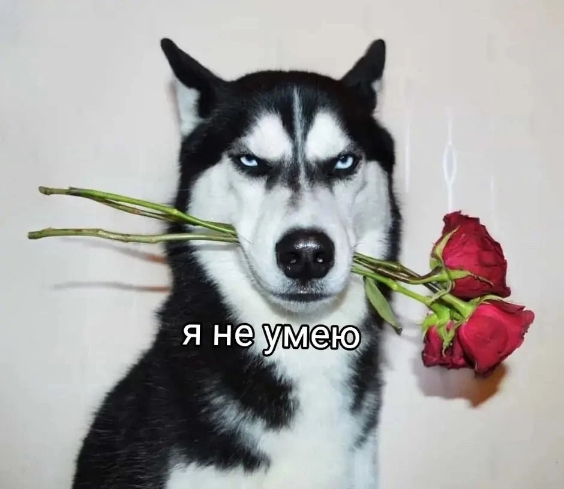 1000002357.jpg