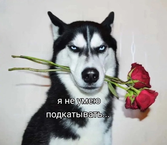 1000002358.jpg