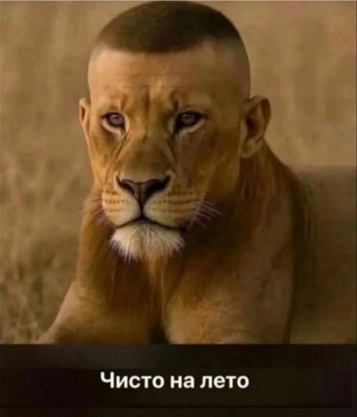 1000002369.jpg