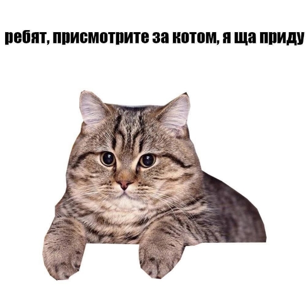 1000002394.jpg