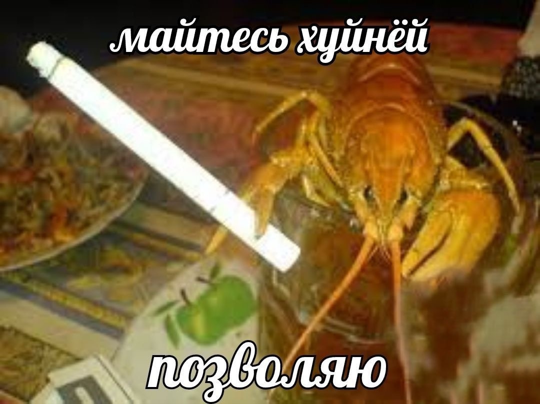 1000002454.jpg