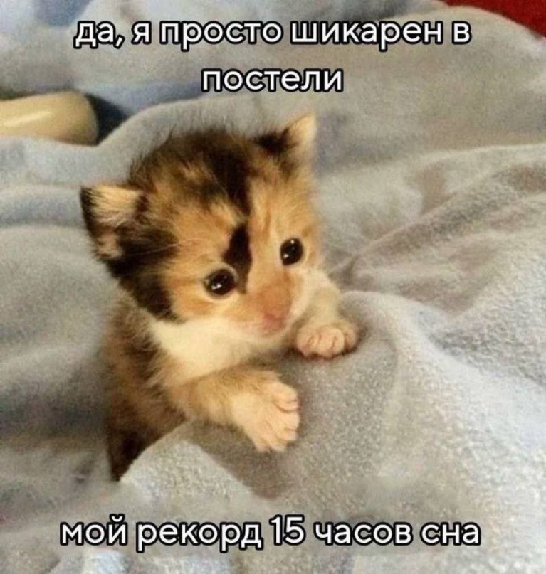 1000002538.jpg