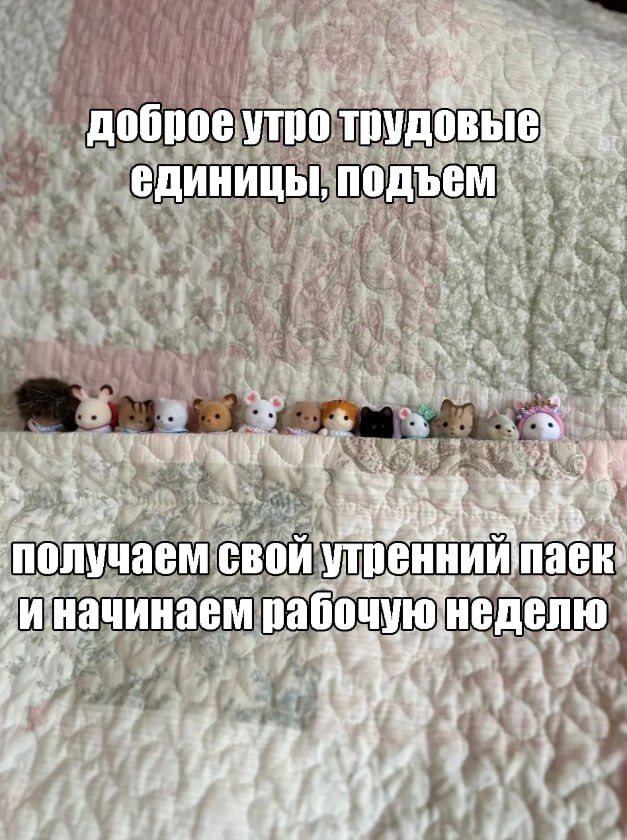 1000003221.jpg