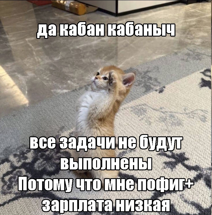 1000003288.jpg