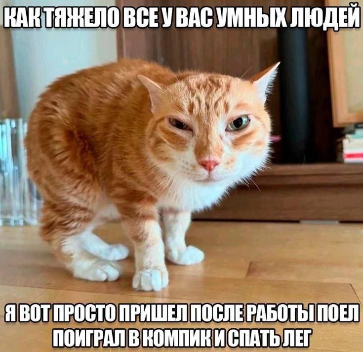 1000003289.jpg