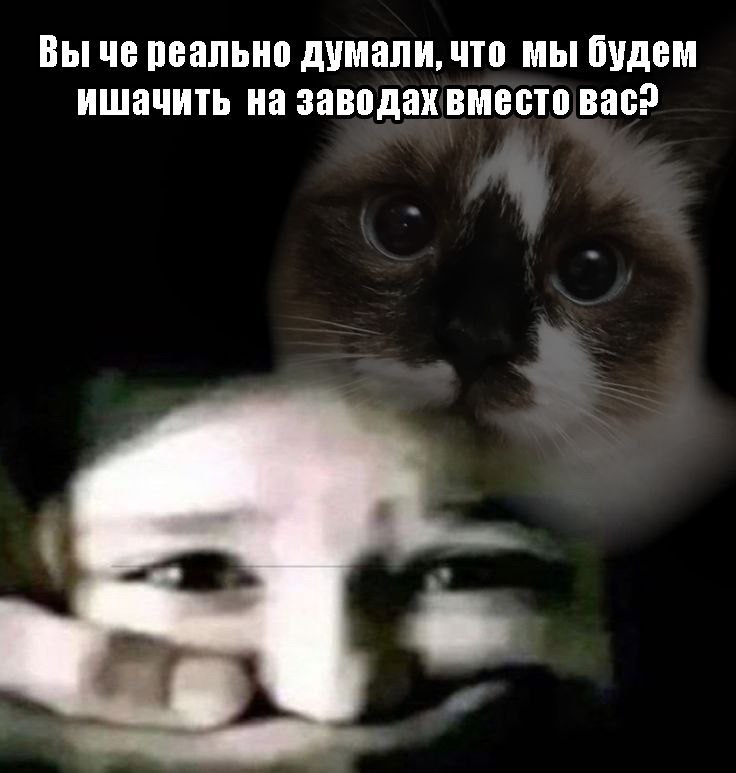 1000003945.jpg