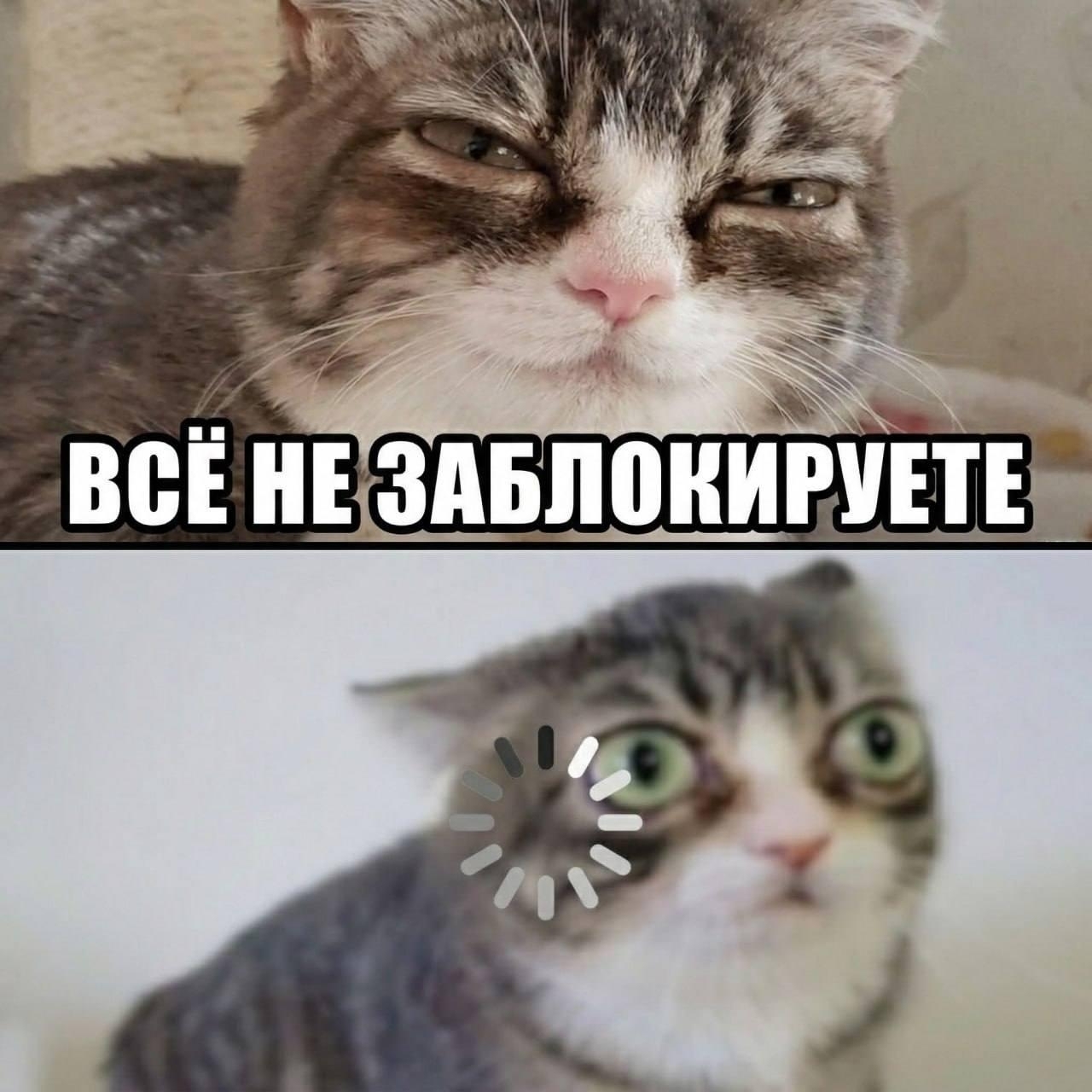 1000004165.jpg