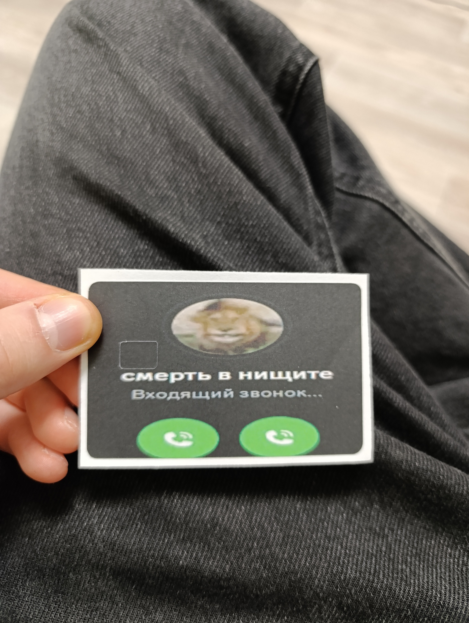 1000004252.jpg