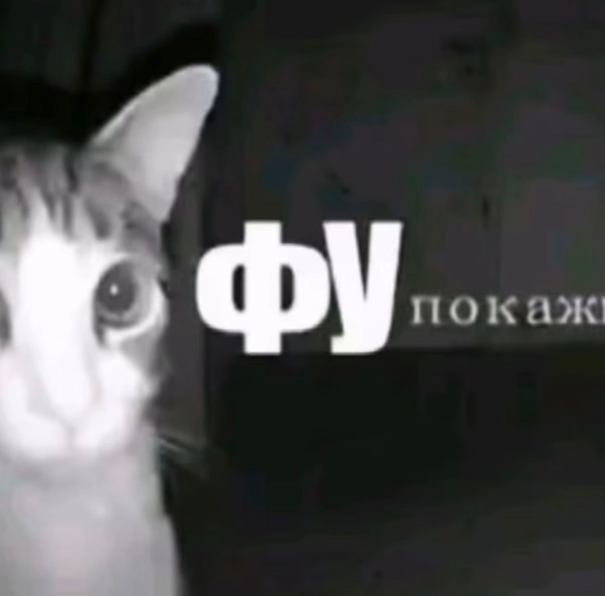 1000004341.jpg