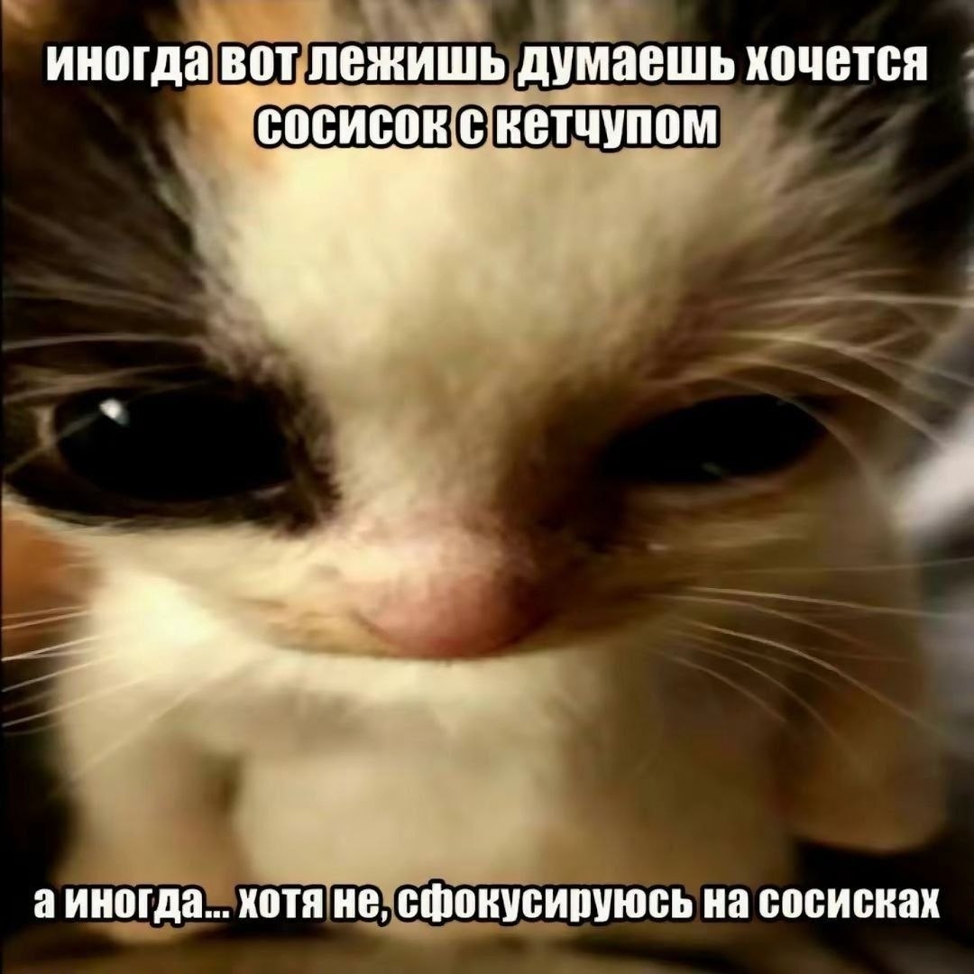 1000004660.jpg