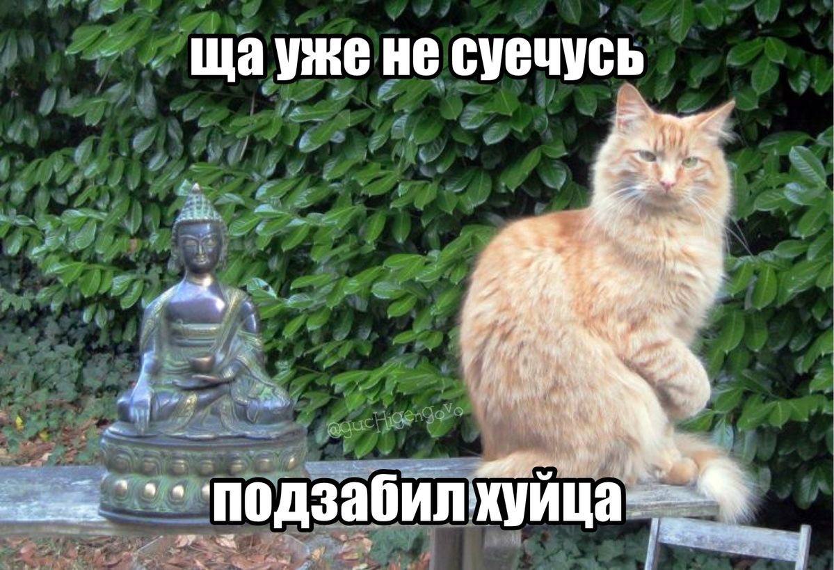 1000004665.jpg