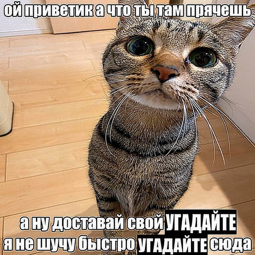 1000005739.jpg