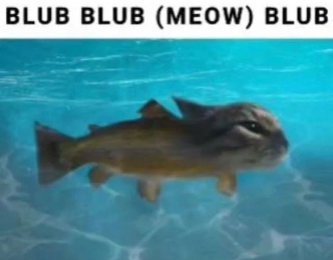 1000005840.jpg