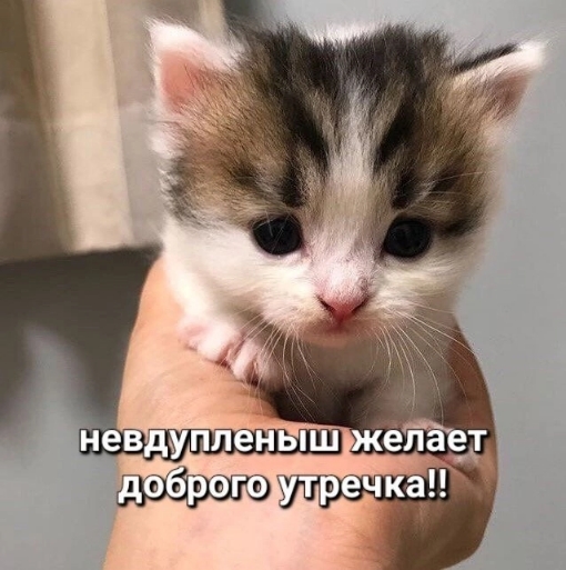 1000005900.jpg