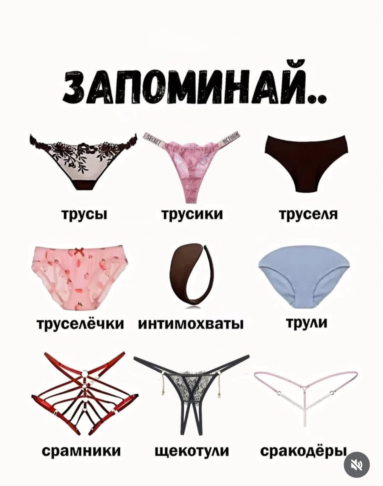1000005974.jpg