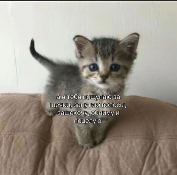 1000006130.jpg