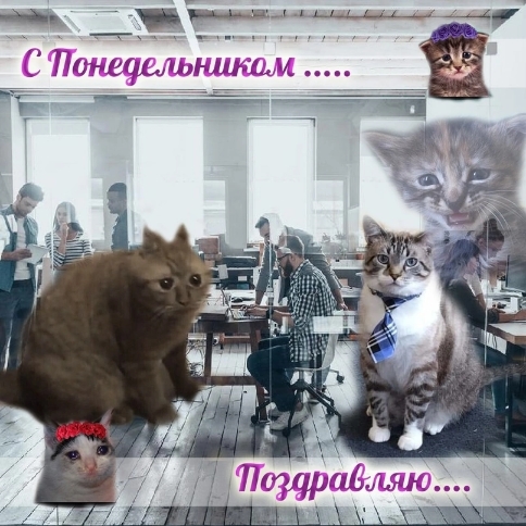 1000006222.jpg