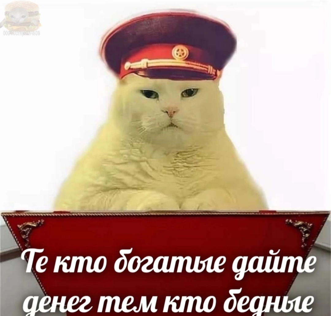 1000006320.png