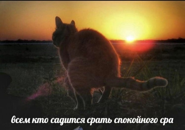 1000006341.jpg