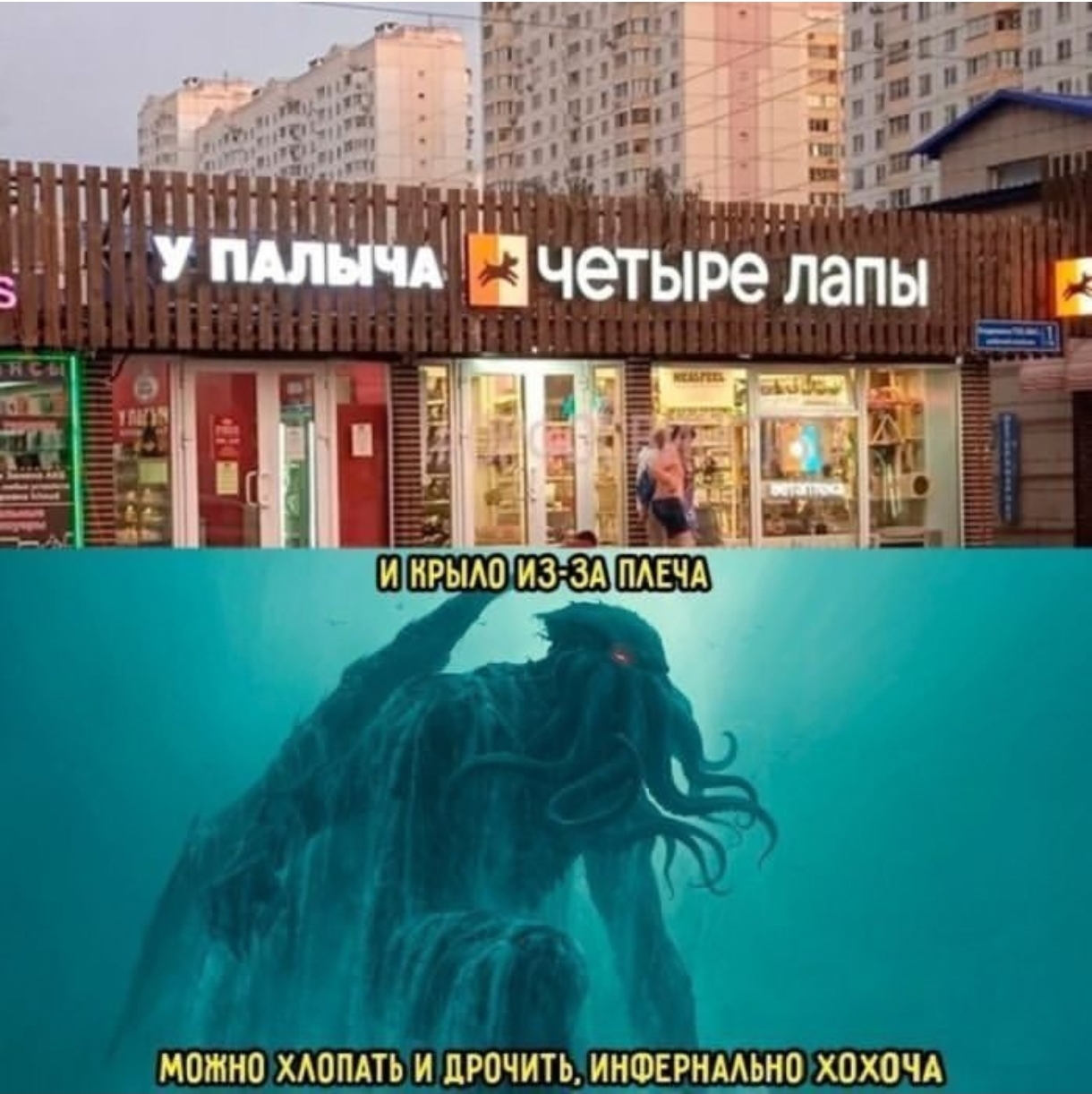 1000006768.jpg