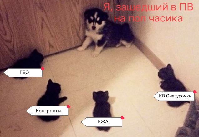 1000007337.jpg