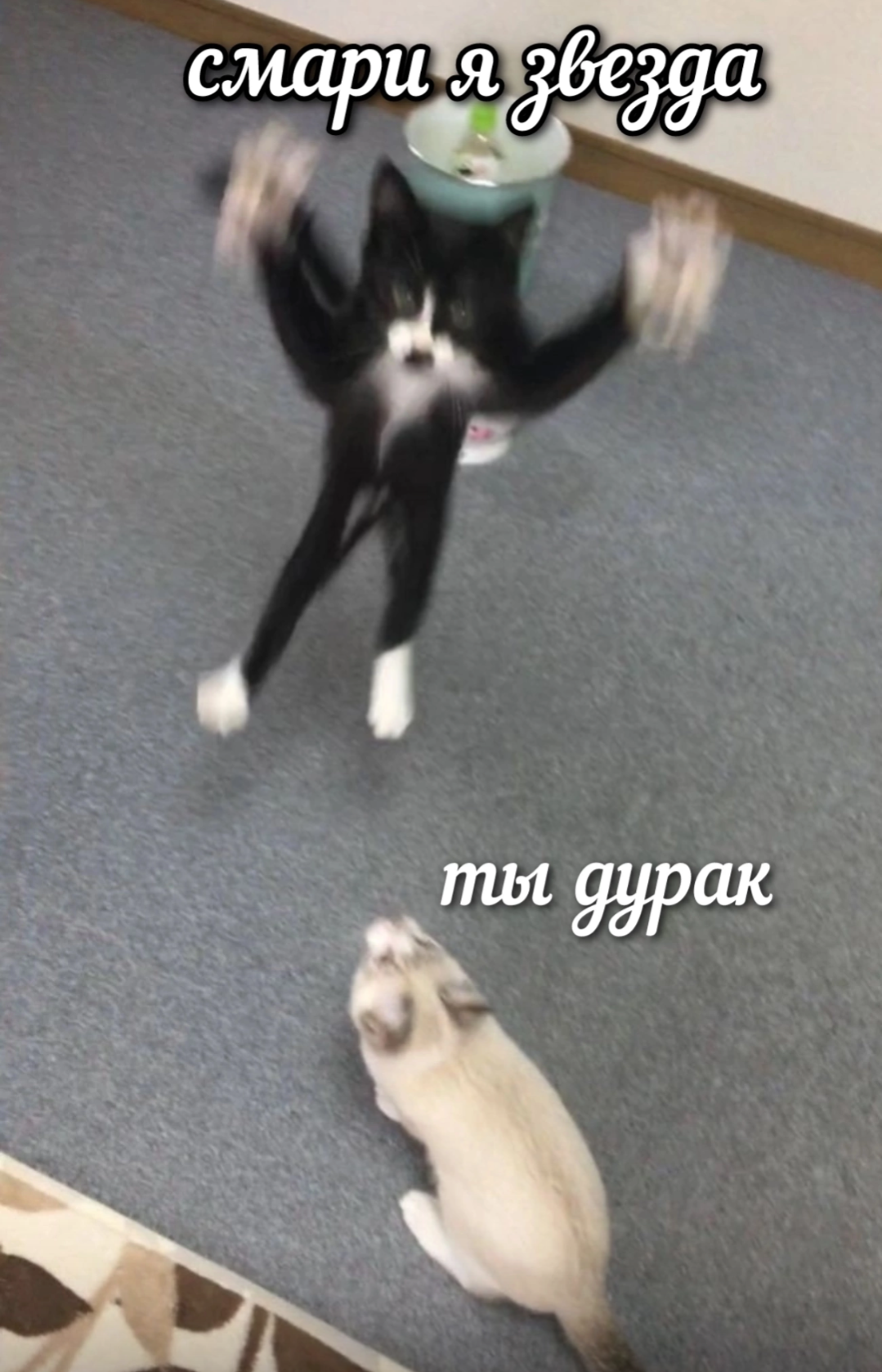 1000008252.png