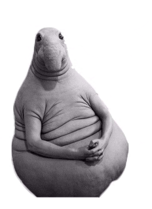 1000009319.png