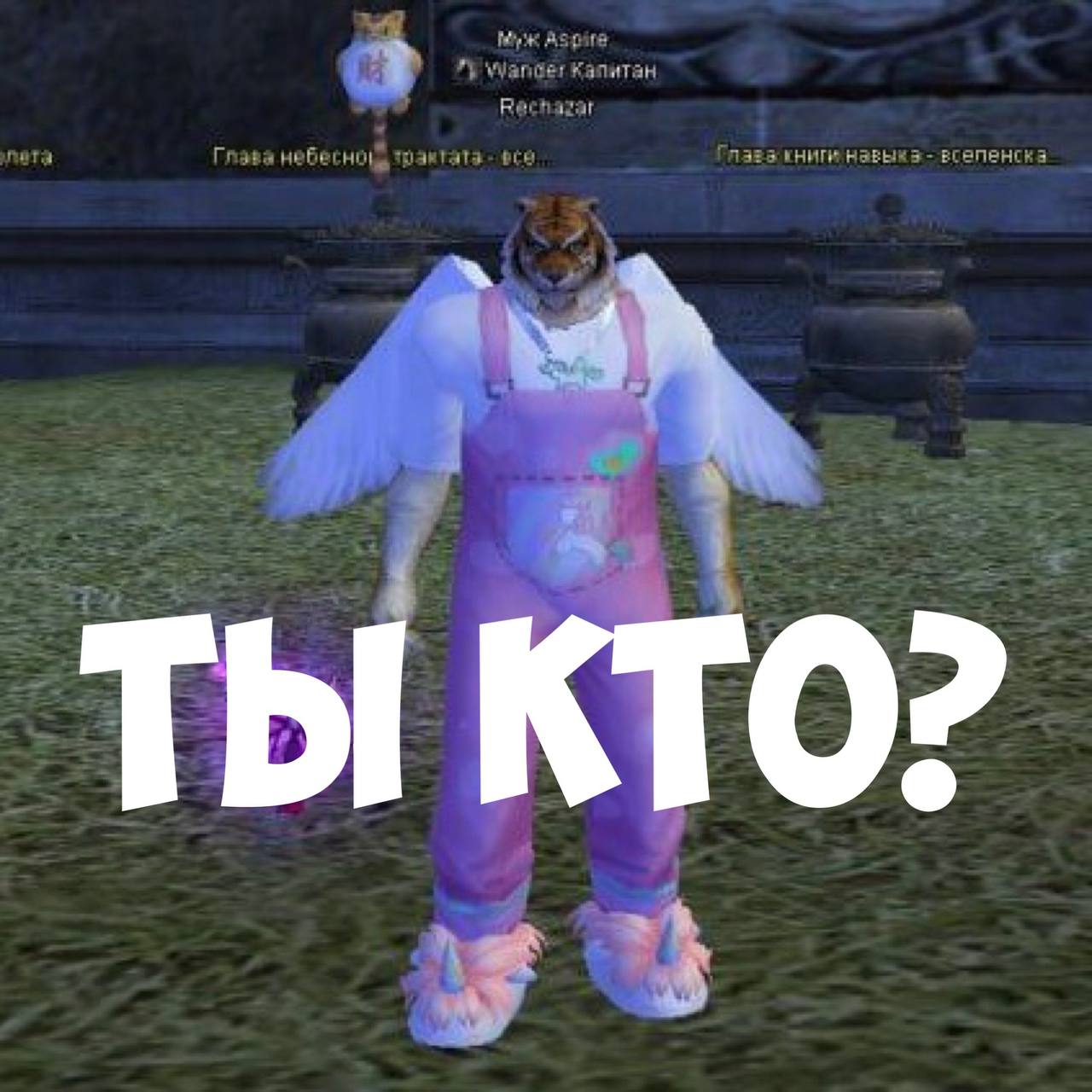 1000012821.jpg