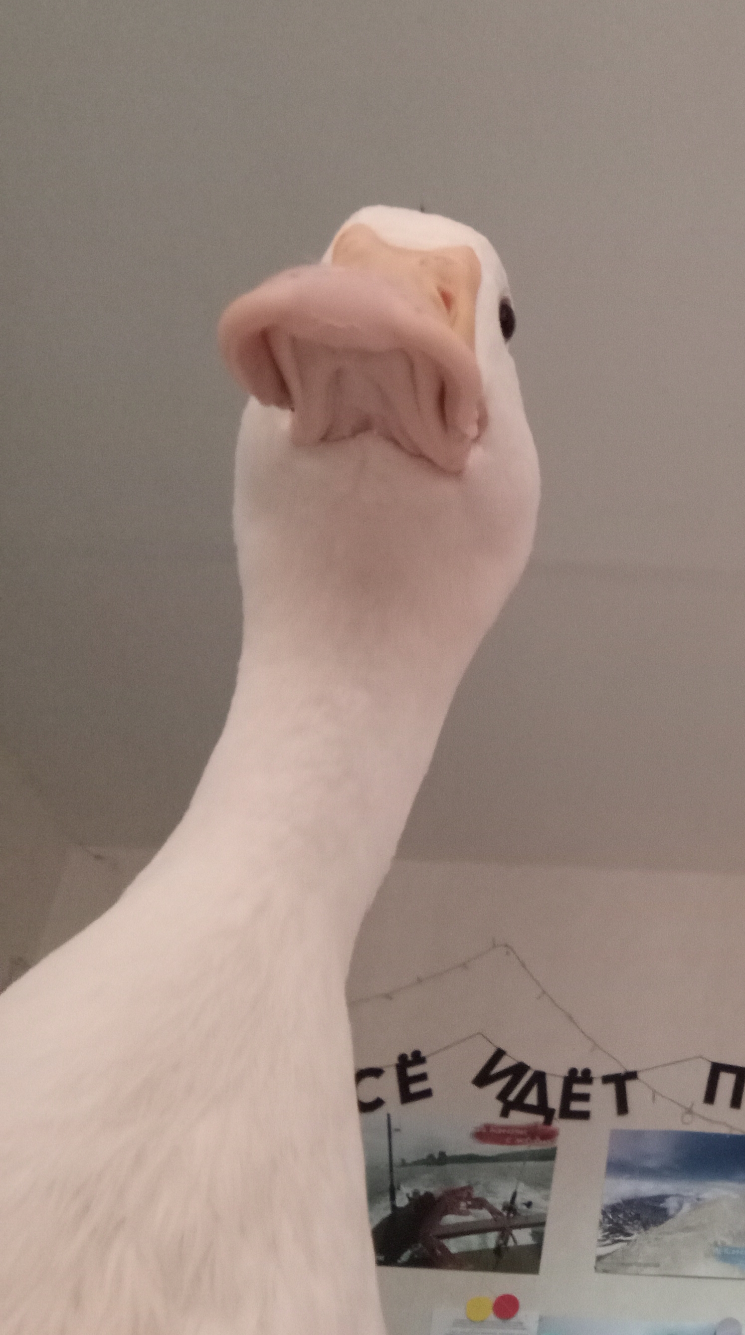 1000013632.jpg