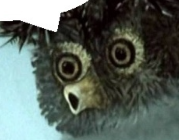 1000018469.png