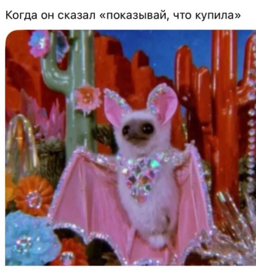 1000018839.png