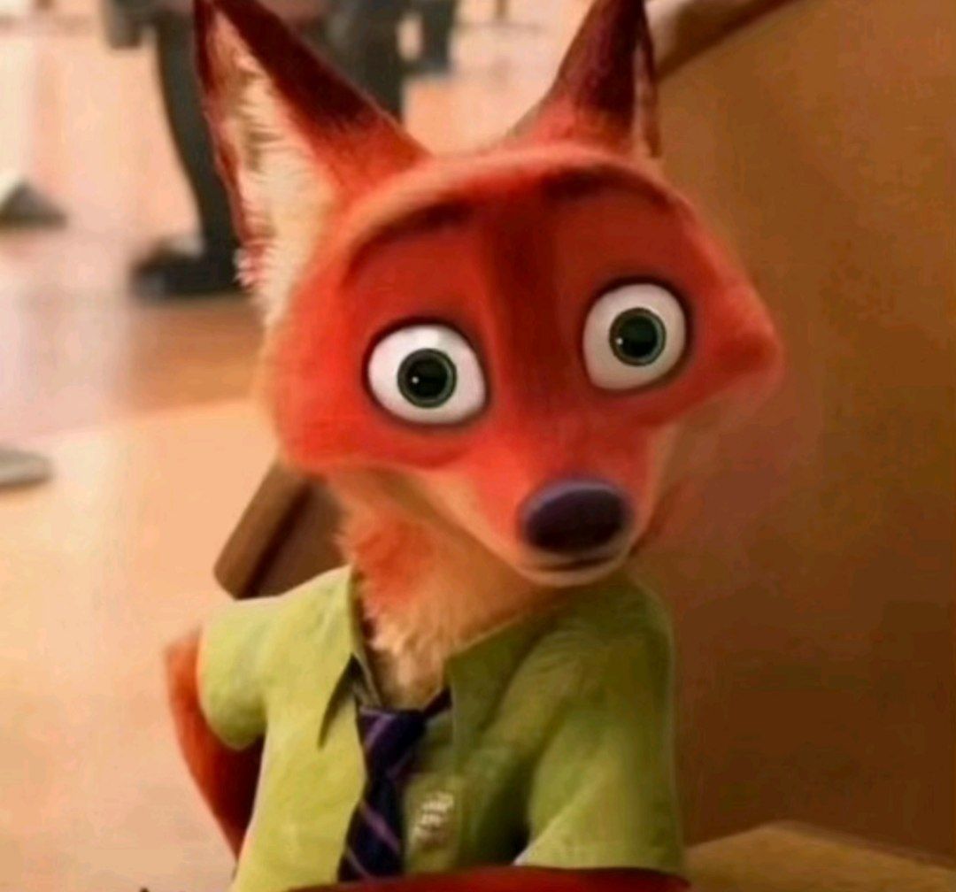 1000020521.jpg
