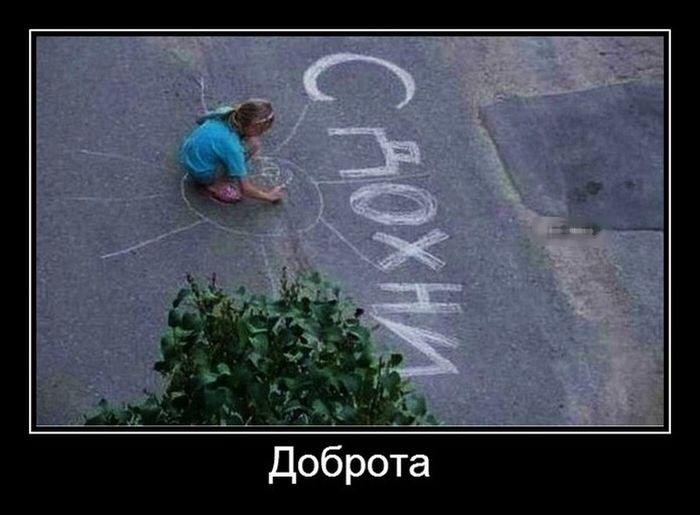 1000021247.jpg