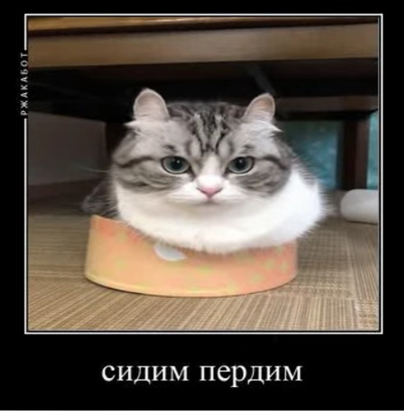 1000023633.jpg