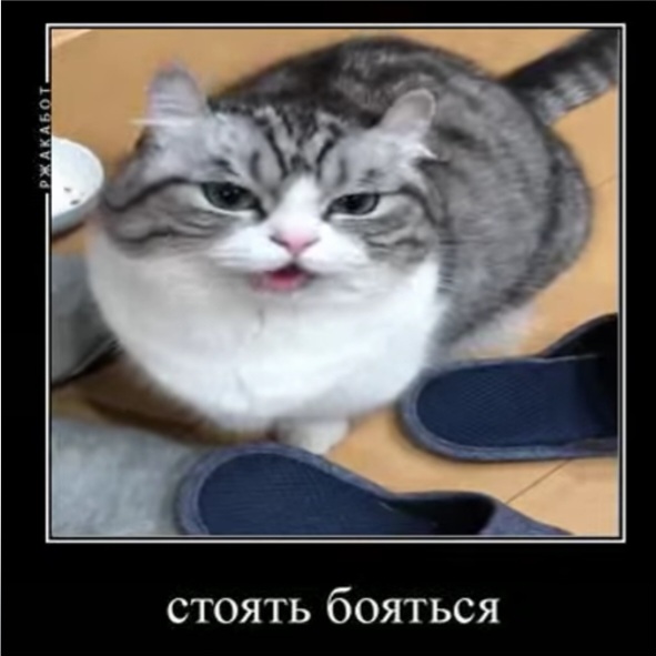 1000025131.jpg