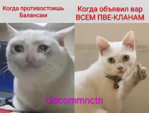 1000026483.jpg