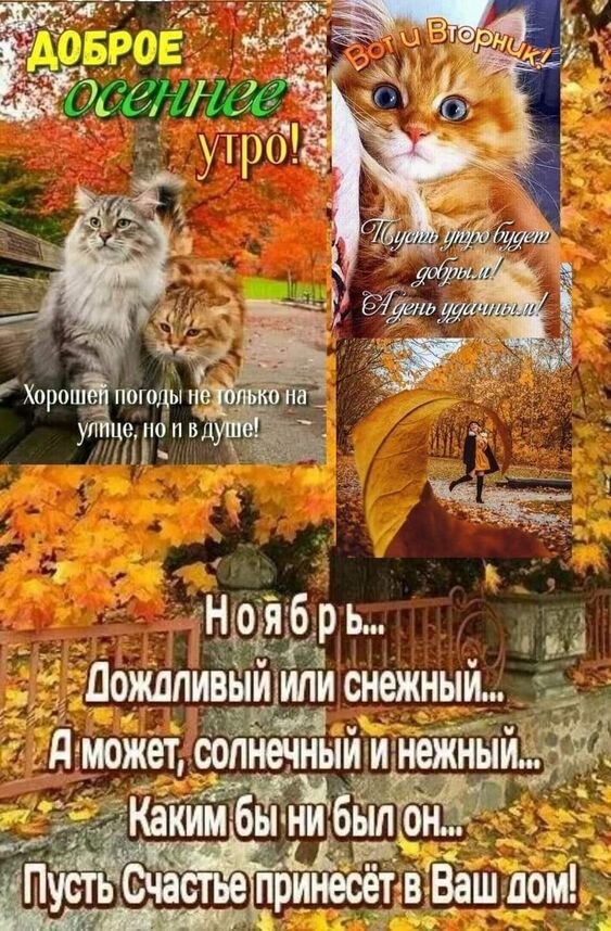 1000031579.jpg