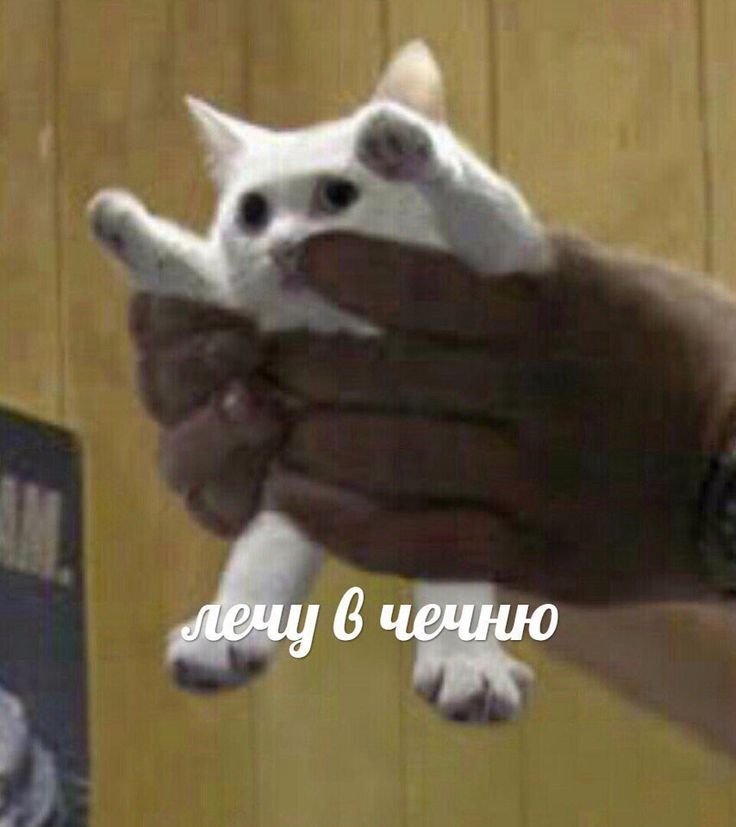1000033859.jpg