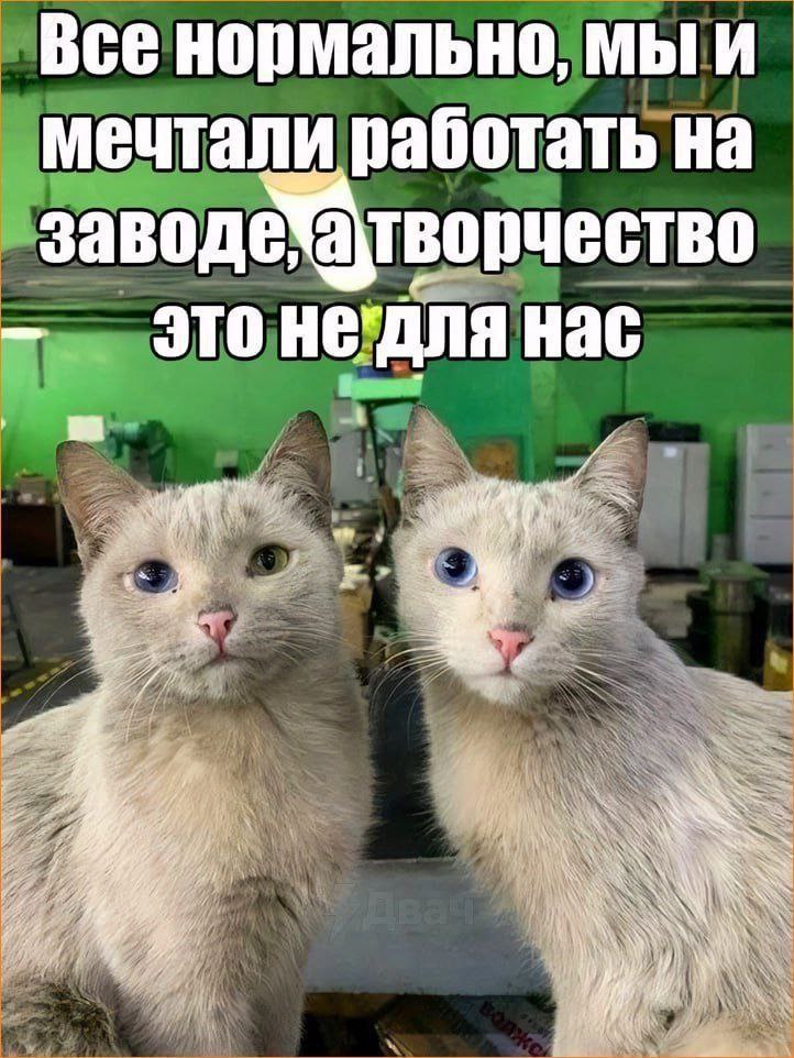 1000035105.jpg