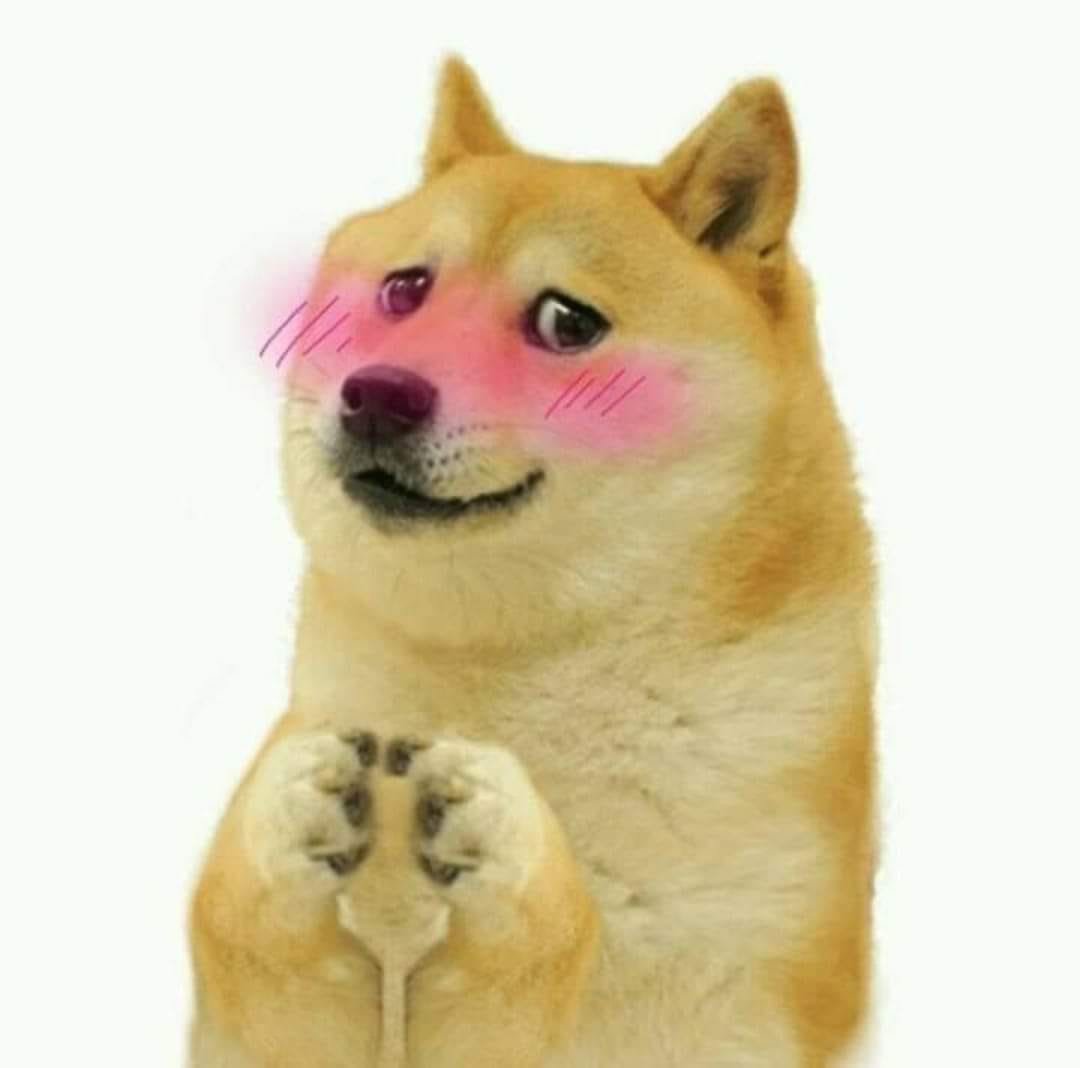 1000036731.jpg