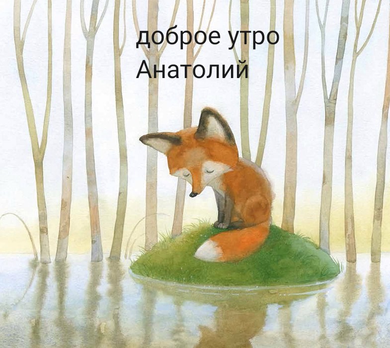 1000036792.jpg