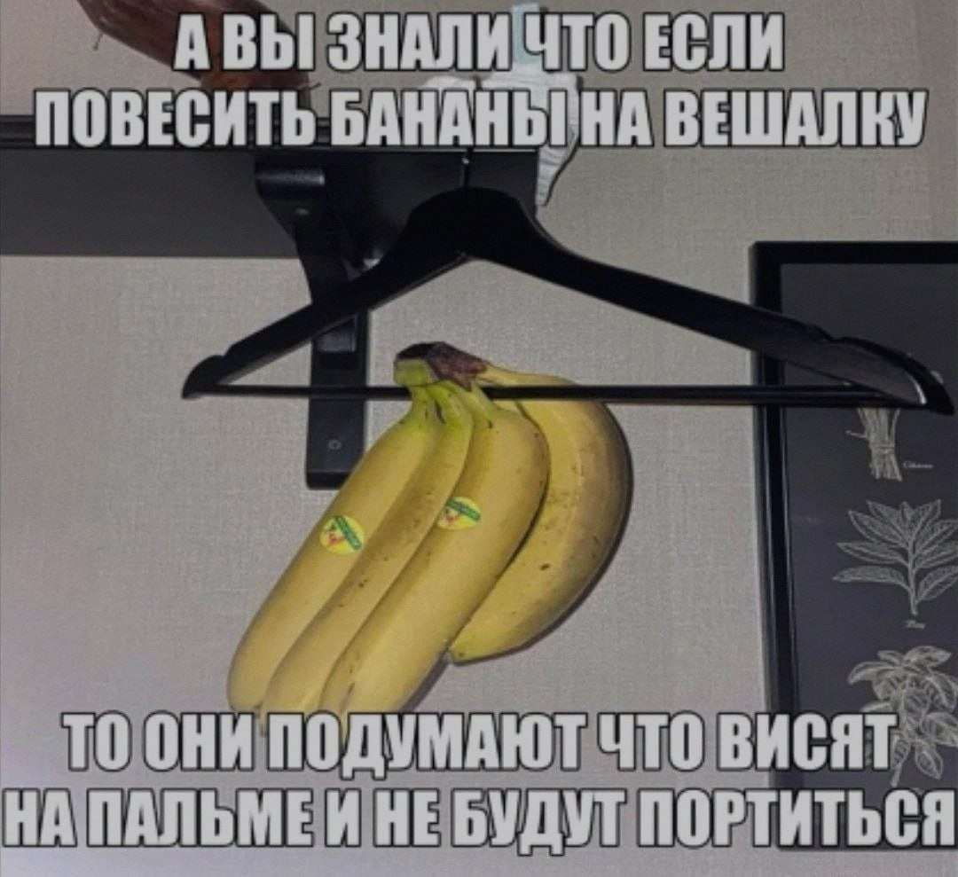 1000036811.jpg