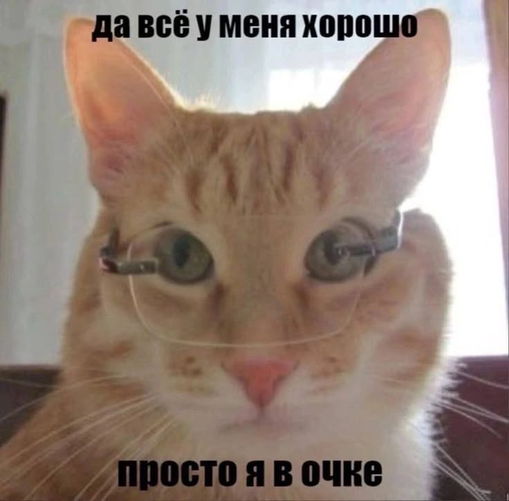1000036937.jpg