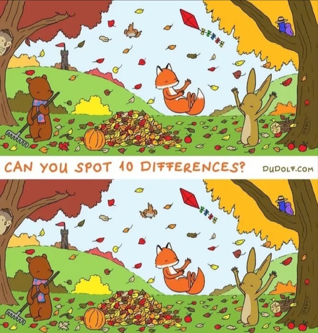 1000037007.jpg